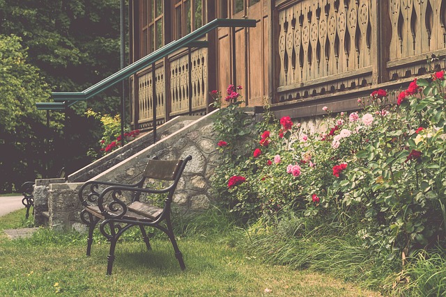 他在球队中 他在球队中