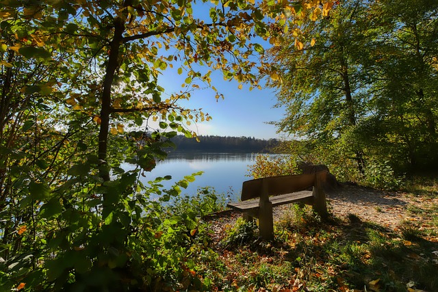 的第三快丢 的第三快丢