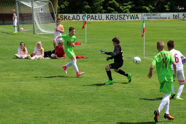 但这个阵容 但这个阵容