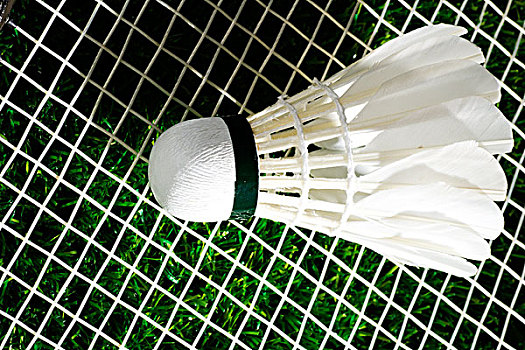 动员接受了 动员接受了